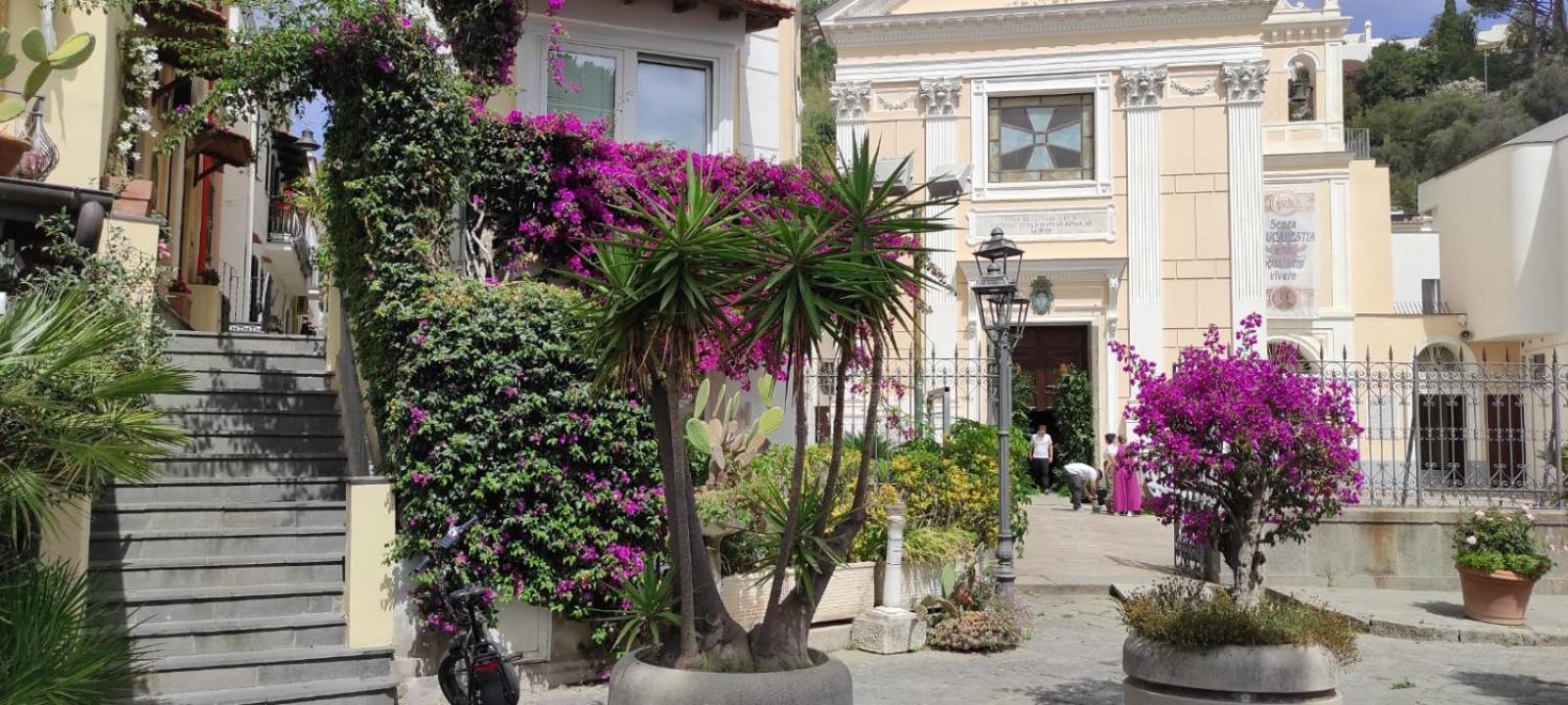 فيلا La Casa Rosa Di Giulia ايسكيا المظهر الخارجي الصورة